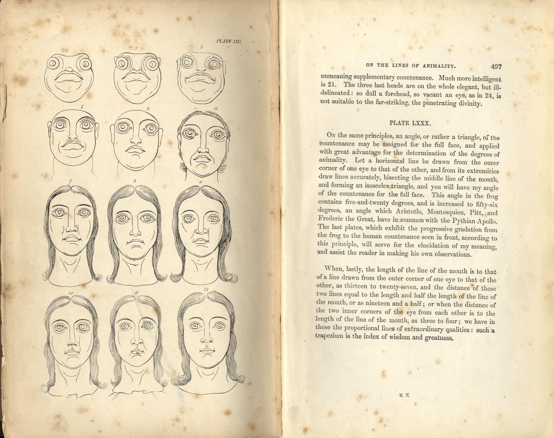 Lavater's Physiognomy, 1880 edition, From the Frog to the Apollo Belvedere