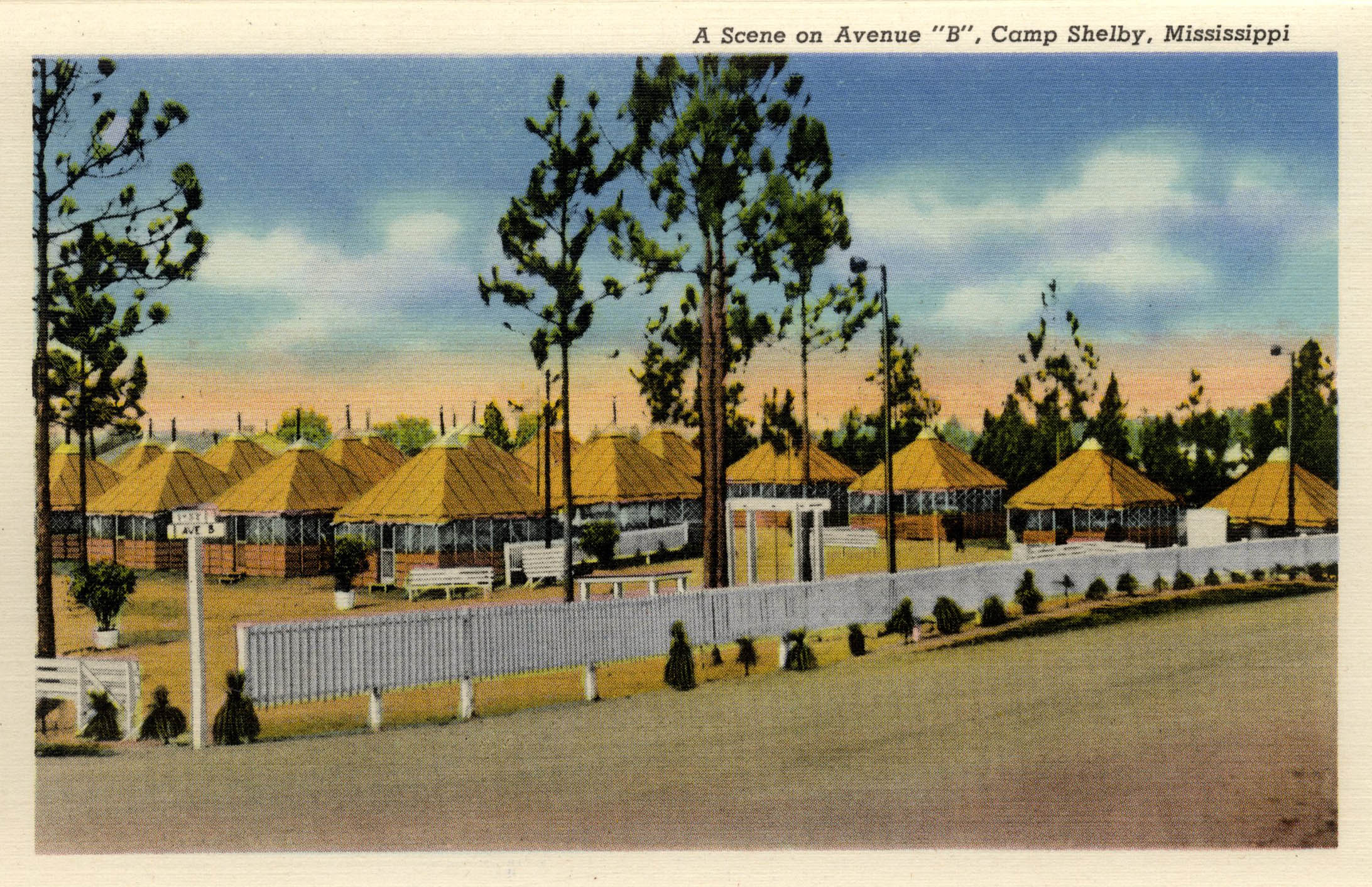 AMERICAN POSTCARD NARRATIVES, Camp Shelby Miss.