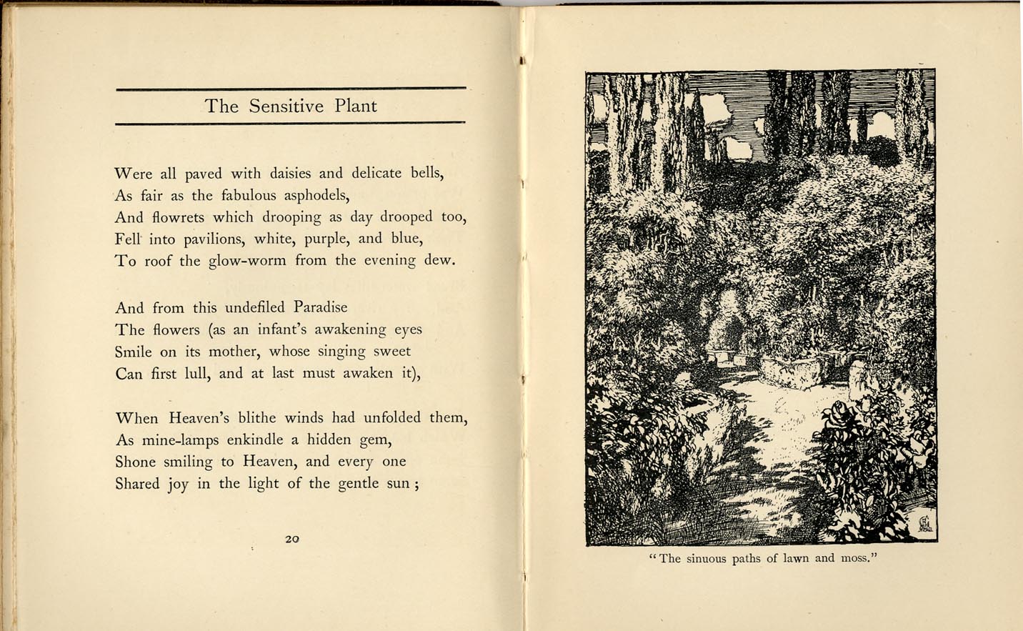 F.L.Griggs, illustrations Shelley's The Sensitive Plant 1902