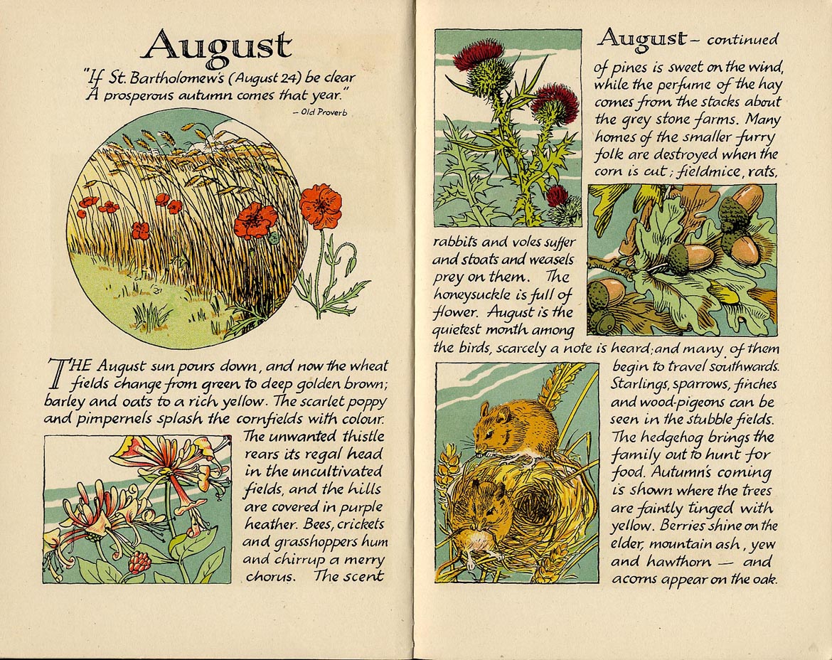 Will Stevens,The Young Naturalists Series,the Alphabet of Illustrators