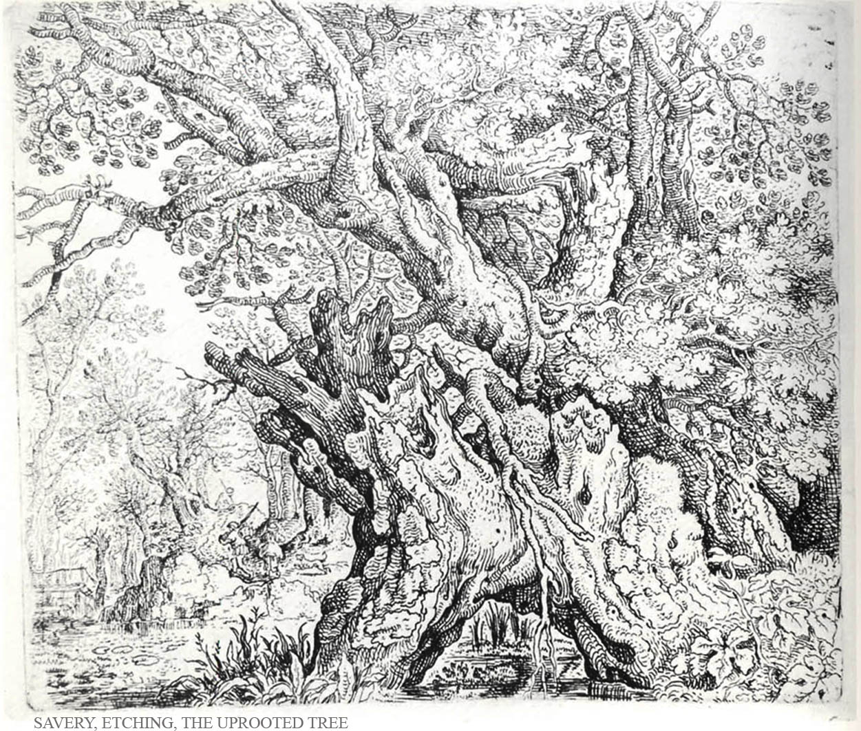 uprooted tree drawing